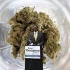 Brooklyn DA Candidate Vows To Decriminalize Small Amounts Of Marijuana